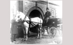 Horse and Carriage small